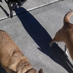 Meet your Posher, Alejandro